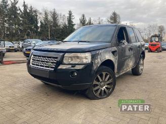 Coche siniestrado Land Rover Freelander Freelander II, Terreinwagen, 2006 / 2014 2.2 td4 16V 2010/12
