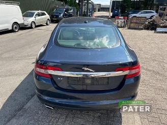 Jaguar XF XF (CC9), Sedan, 2008 / 2015 2.7 D V6 24V picture 8