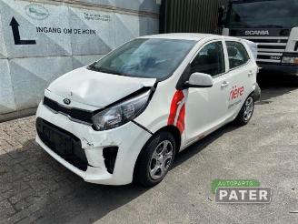 Salvage car Kia Picanto Picanto (JA), Hatchback, 2017 1.0 DPi 12V 2020/9