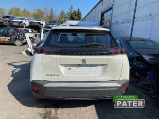 Peugeot 2008 2008 (UD/UK/UR/US/UX), MPV, 2019 e-2008 50 kWh picture 4