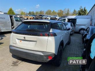 Peugeot 2008 2008 (UD/UK/UR/US/UX), MPV, 2019 e-2008 50 kWh picture 3