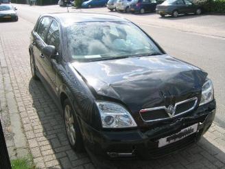 Opel Signum desinge dti picture 2