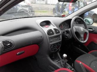 Peugeot 206 1.6 hdi picture 4