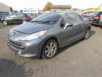 Peugeot 207 16 hdi picture 1
