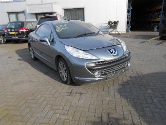 Peugeot 207 16 hdi picture 2