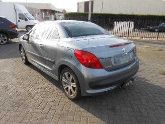Peugeot 207 16 hdi picture 4