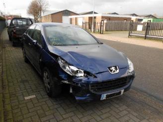 Peugeot 407 1.6 hdi picture 2