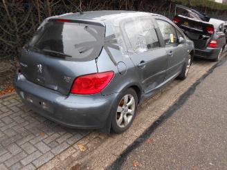 Peugeot 307 1.6hdi picture 3