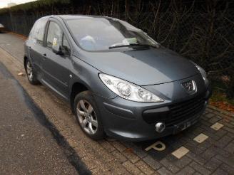 Peugeot 307 1.6hdi picture 1