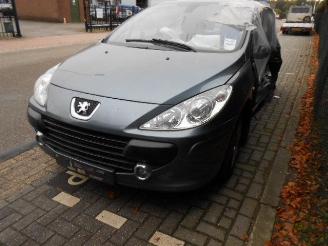 Peugeot 307 1.6hdi picture 2