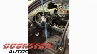 Hyundai Kona Kona (OS), SUV, 2017 / 2023 64 kWh picture 15