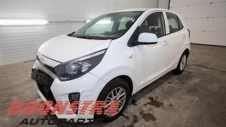 Salvage car Kia Picanto Picanto (JA), Hatchback, 2017 1.0 DPi 12V 2023/6