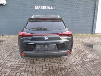 Lexus UX UX, SUV, 2019 250h 2.0 16V picture 3