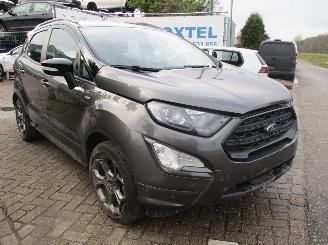Ford EcoSport  picture 3