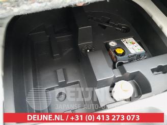 Nissan Juke Juke (F16), SUV, 2019 1.0 DIG-T 12V picture 20