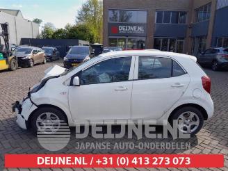 Kia Picanto Picanto (JA), Hatchback, 2017 1.0 12V picture 4