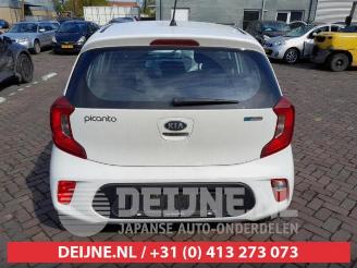 Kia Picanto Picanto (JA), Hatchback, 2017 1.0 12V picture 6