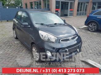 rozbiórka samochody osobowe Kia Picanto Picanto (TA), Hatchback, 2011 / 2017 1.2 16V 2012/3