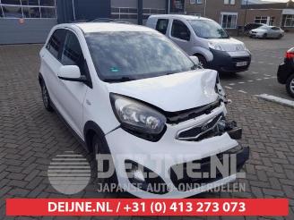 Salvage car Kia Picanto Picanto (TA), Hatchback, 2011 / 2017 1.2 16V 2013/9
