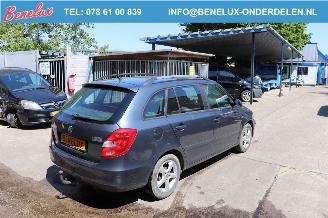 Skoda Fabia Combi 1.2 TDI Greenline picture 3