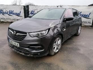 Opel Grandland 1.6 TDCI picture 1