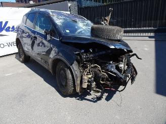 Ford Kuga 2.0 picture 2