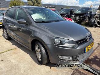 Volkswagen Polo Polo V (6R), Hatchback, 2009 / 2017 1.2 TSI picture 2