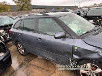 Skoda Fabia Fabia II Combi, Combi 5-drs, 2007 / 2015 1.2 TDI 12V Greenline picture 4