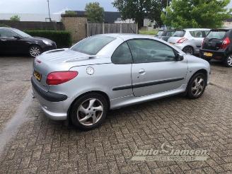 Peugeot 206 206 CC (2D), Cabrio, 2000 / 2007 1.6 16V picture 4