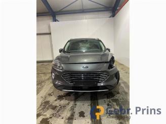 Ford Kuga Kuga III (DFK), SUV, 2019 2.5 PHEV 16V picture 4