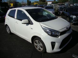 Kia Picanto  picture 3