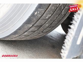 Schmitz Cargobull  SKO Thermo King SLXi 300 Dhollandia 2X Lift BY 2020 picture 35