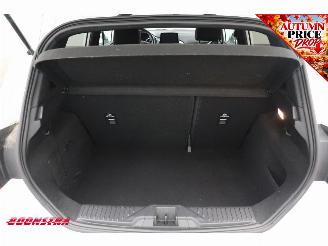 Ford Fiesta 1.0 EcoBoost ST-Line B&O Apple/Android Cruise Clima Navi picture 20