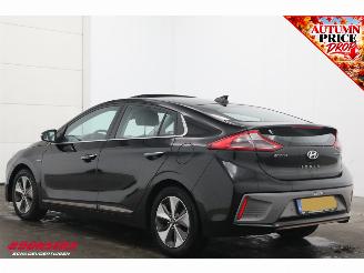 Hyundai Ioniq Premium EV Camera Infinity Pano Memory Audio Clima LED Navi picture 4