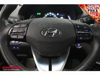 Hyundai Ioniq Premium EV Camera Infinity Pano Memory Audio Clima LED Navi picture 22