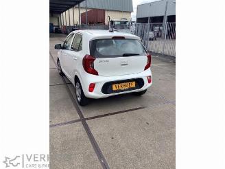 Kia Picanto Picanto (JA), Hatchback, 2017 1.0 DPi 12V picture 4