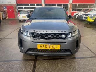Dezmembrări autoturisme Land Rover Range Rover Range Rover Evoque II (LZC/LZS/LZH), SUV, 2018 2.0 P250 MHEV 16V AWD 2019/4