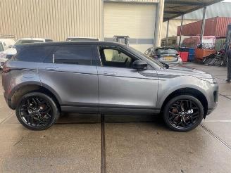 Land Rover Range Rover Range Rover Evoque II (LZC/LZS/LZH), SUV, 2018 2.0 P250 MHEV 16V AWD picture 2