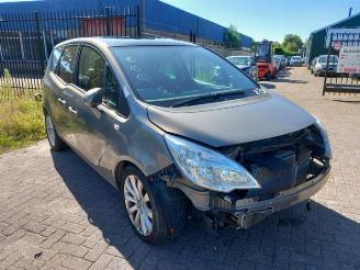 Opel Meriva  picture 1