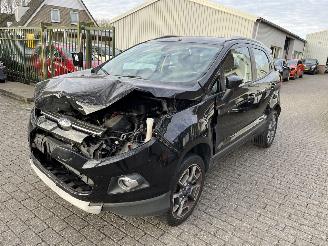 Ford EcoSport 1.0 EcoBoost Titanium picture 1