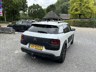 Citroën C4 cactus 1.2 Pure Tech Shine picture 6