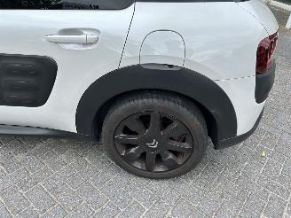 Citroën C4 cactus 1.2 Pure Tech Shine picture 8