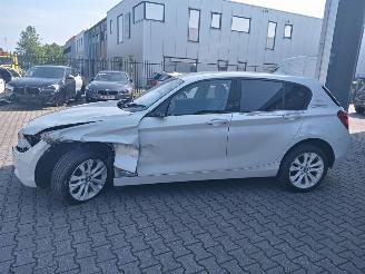 BMW  2013 BMW 118D picture 2