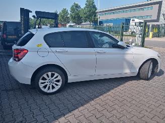 BMW  2013 BMW 118D picture 3