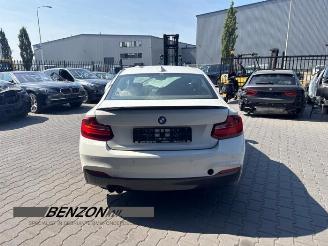 BMW 2-serie 2 serie (F22/F87), Coupe, 2013 / 2021 220d 2.0 16V picture 3