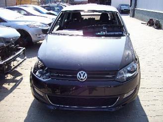 Volkswagen Polo 1,6 tdi picture 1