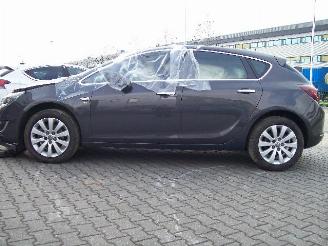 Opel Astra elit picture 4
