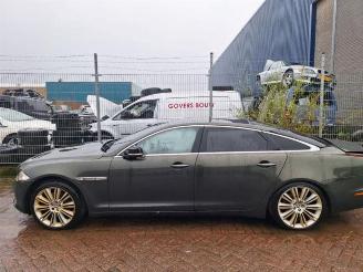 Jaguar XJ XJ (X351), Sedan, 2009 / 2019 3.0 D V6 24V picture 11