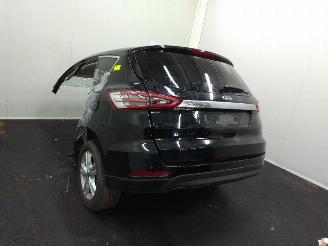 Ford S-Max  picture 13