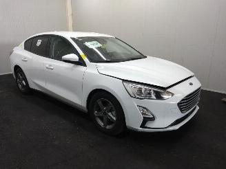 Ford Focus  picture 1